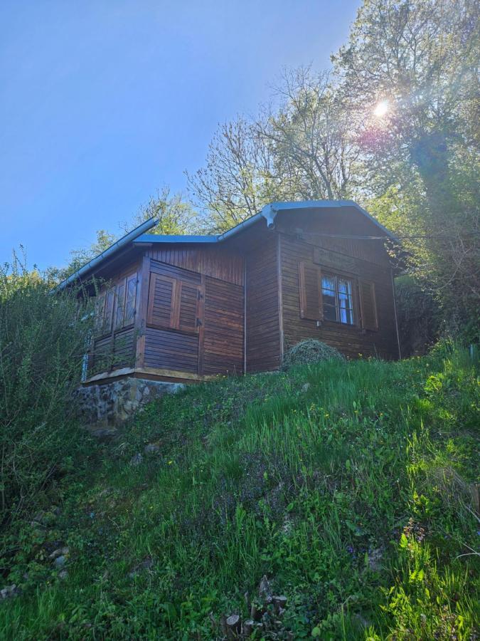 Elbblick Villa Storkau Luaran gambar